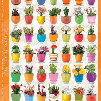 Cacti  Succulents 1000-piece Puzzle