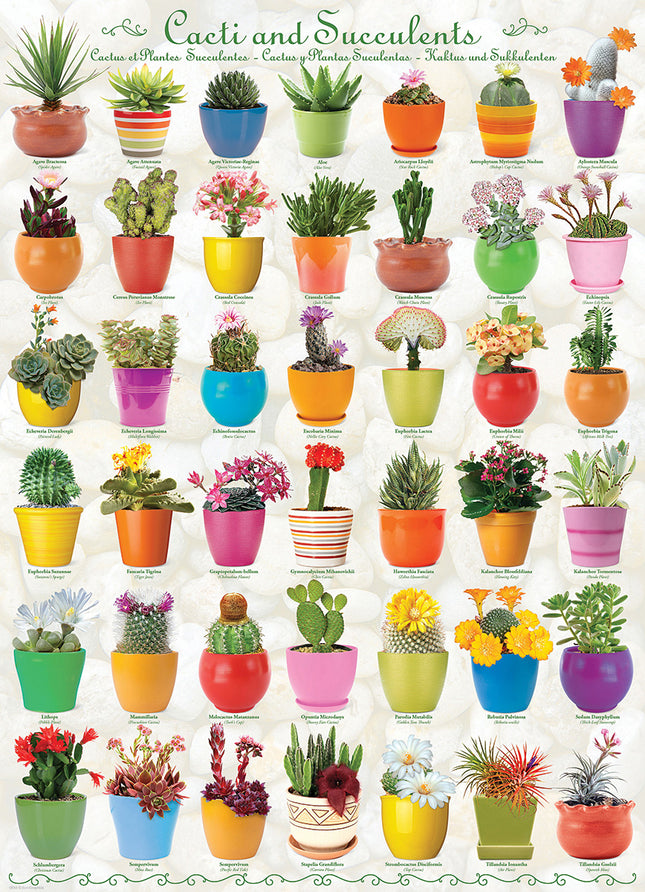 Cacti  Succulents 1000-piece Puzzle