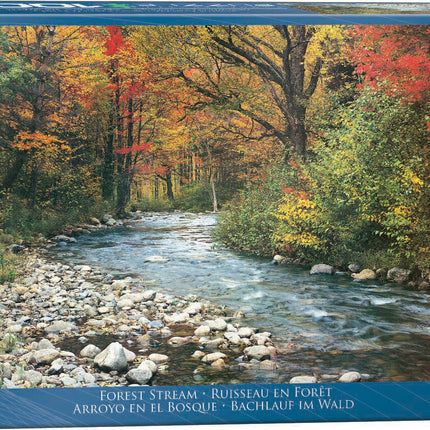 Forest Stream 1000-Piece Puzzle