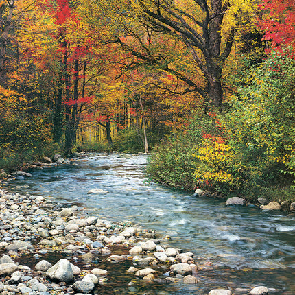 Forest Stream 1000-Piece Puzzle
