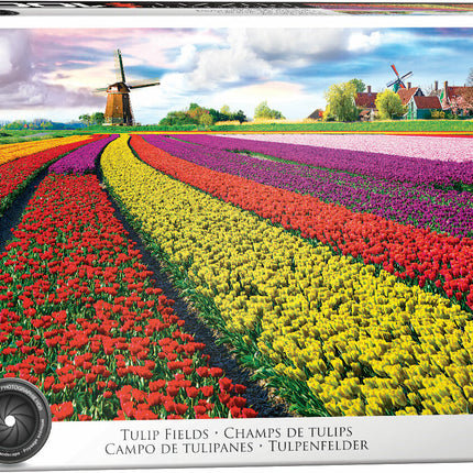 Tulip Field - Netherlands 1000-Piece Puzzle