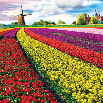 Tulip Field - Netherlands 1000-Piece Puzzle