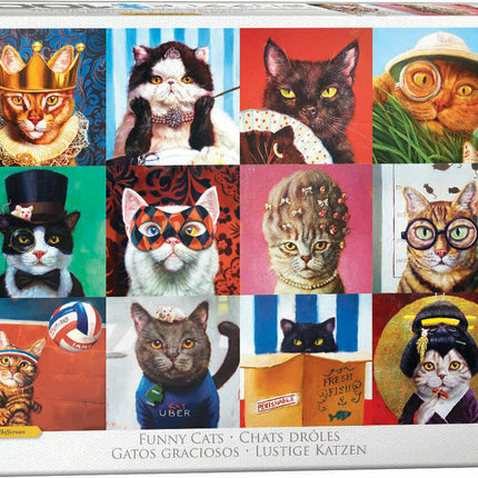 Funny Cats by Lucia Heffernan