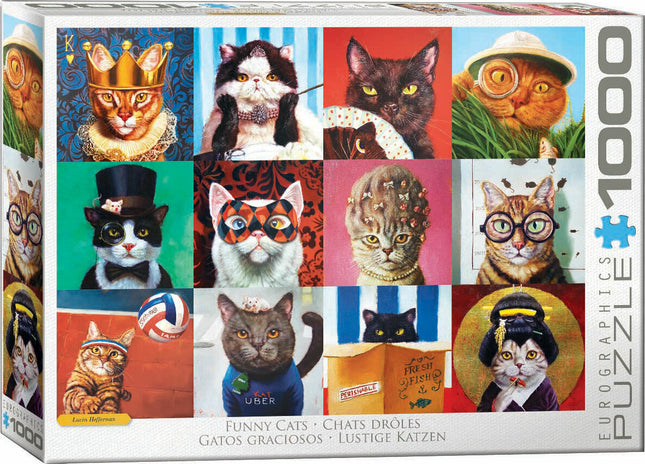 Funny Cats by Lucia Heffernan
