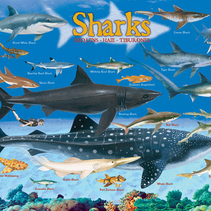 Sharks 100-Piece Puzzle