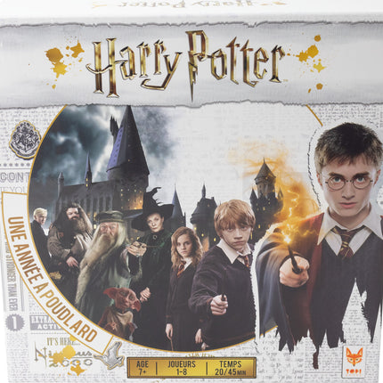 Harry Potter - Une Année A Poudlard (French)