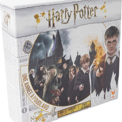 Harry Potter - Une Année A Poudlard (French)
