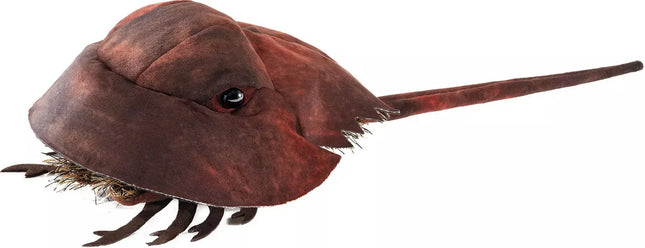 Horseshoe Crab Puppet