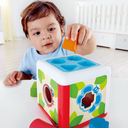 Shape Sorting Box