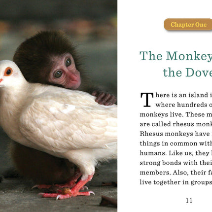 Unlikely Friendships for Kids: The Monkey & the Dove: And Four Other Stories of Animal Friendships