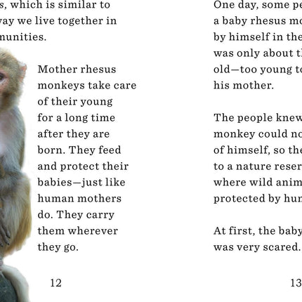 Unlikely Friendships for Kids: The Monkey & the Dove: And Four Other Stories of Animal Friendships
