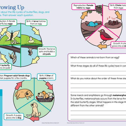 Summer Brain Quest: Between Grades 2 & 3