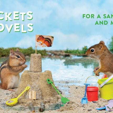 Oakley the Squirrel: Camping 1, 2, 3!: A Nutty Numbers Book