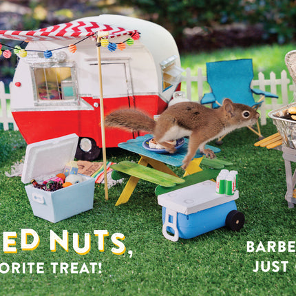Oakley the Squirrel: Camping 1, 2, 3!: A Nutty Numbers Book