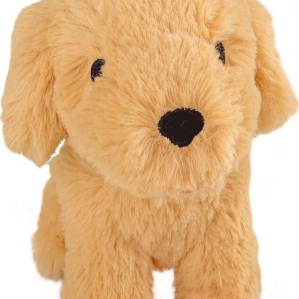 Groom 'n Care Pet Carrier