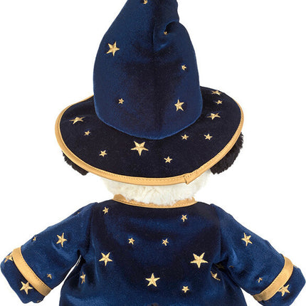 Rufferty Puppy Wizard Outfit