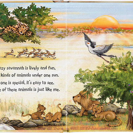 Just Like Me Book