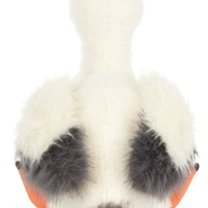 Keli Pelican