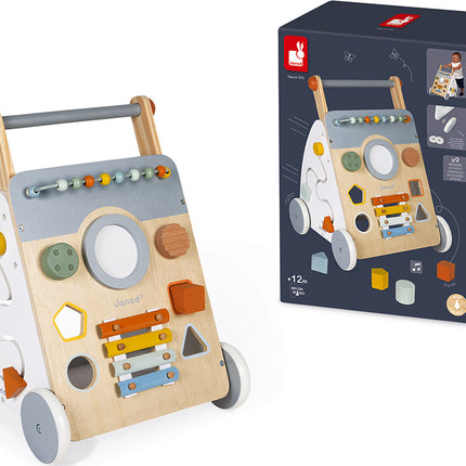 Sweet Cocoon Multi-activity Baby Walker