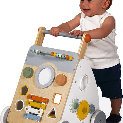 Sweet Cocoon Multi-activity Baby Walker