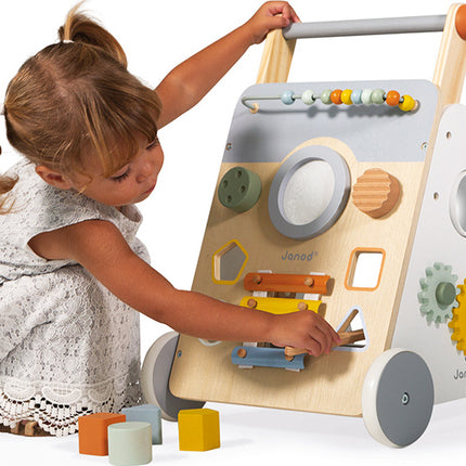 Sweet Cocoon Multi-activity Baby Walker