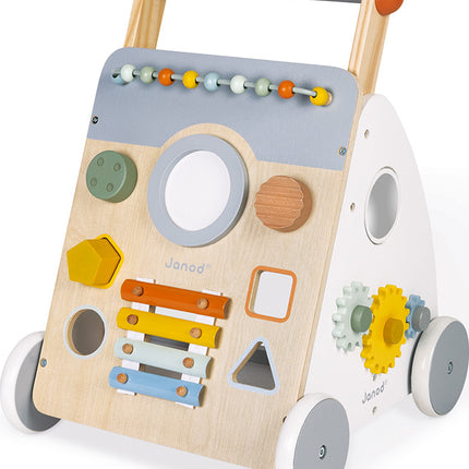 Sweet Cocoon Multi-activity Baby Walker
