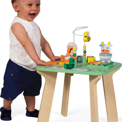 Meadow Activity Table