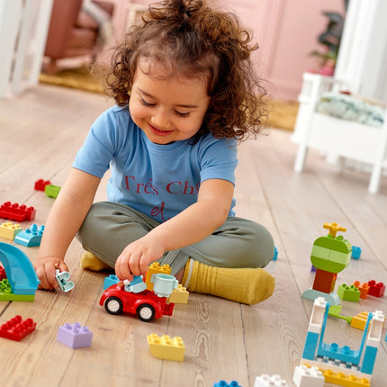 LEGO® DUPLO® Deluxe Brick Box