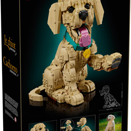 LEGO® Icons Golden Retriever Puppy