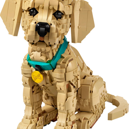 LEGO® Icons Golden Retriever Puppy