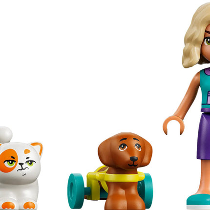 LEGO® Friends Fun Water Park Day