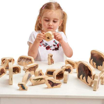 Wooden Forest Animal Blocks - Set of 30