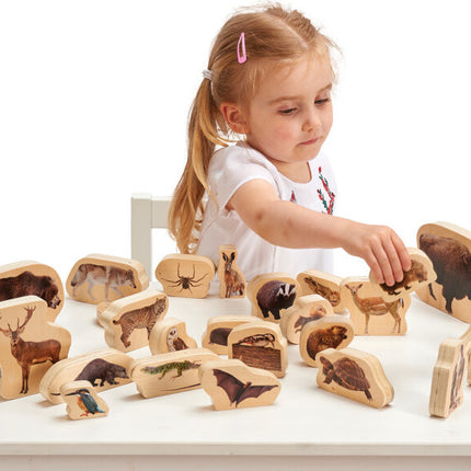 Wooden Forest Animal Blocks - Set of 30