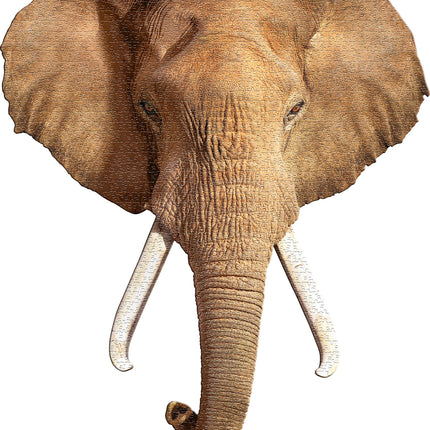Madd Capp Puzzle - I Am Elephant