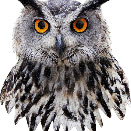 Madd Capp Puzzle - I Am Owl(300)