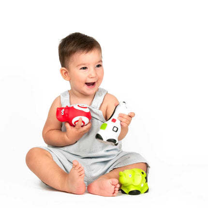 First Senses: Pettinos