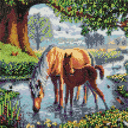 CA Kit (Medium) - Fell Ponies