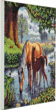 CA Kit (Medium) - Fell Ponies