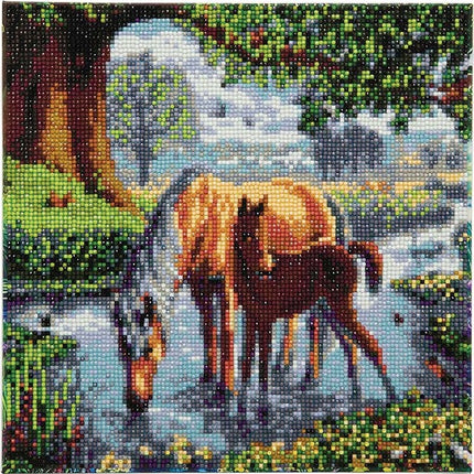 CA Kit (Medium) - Fell Ponies