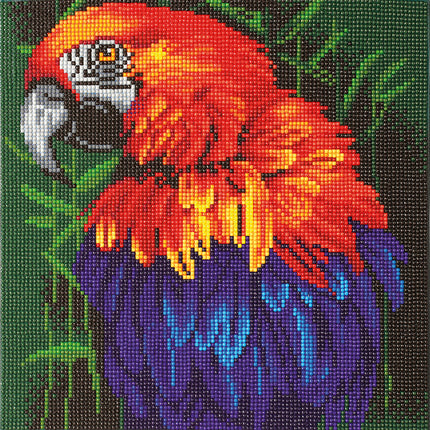 CA Kit (Medium) - Tropical Bird