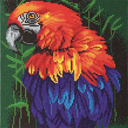 CA Kit (Medium) - Tropical Bird
