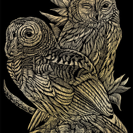 EGRVart Owls
