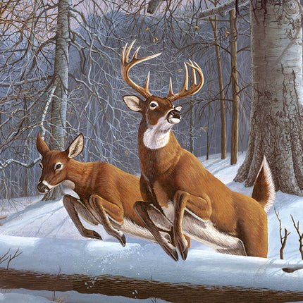Large PBN White Tails