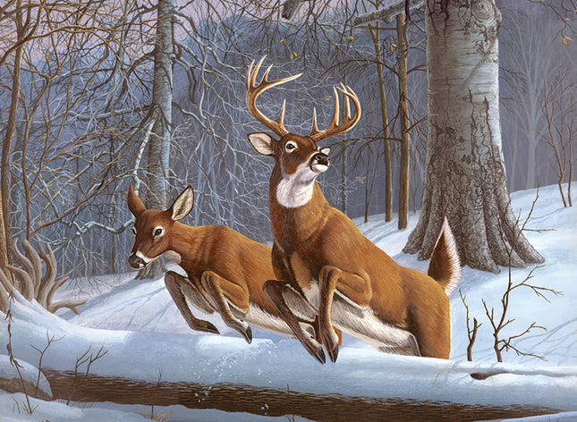 Large PBN White Tails