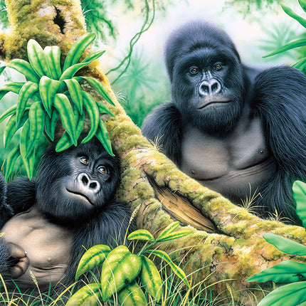 Large PBN Mountain Gorillas