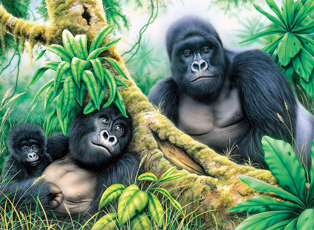 Large PBN Mountain Gorillas