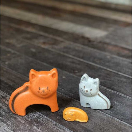 Cat Puzzle