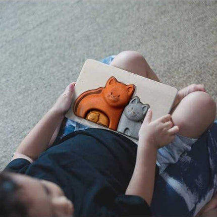 Cat Puzzle