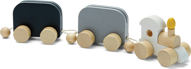 Celebration Train