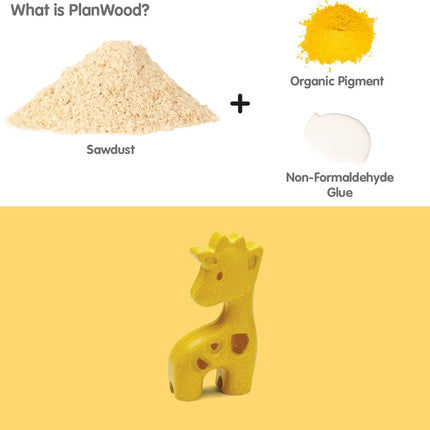 Wild Animals Set